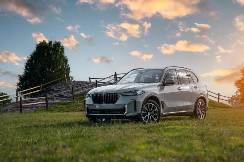 BMW X5 Silver Anniversary Edition 2025 3.PNG