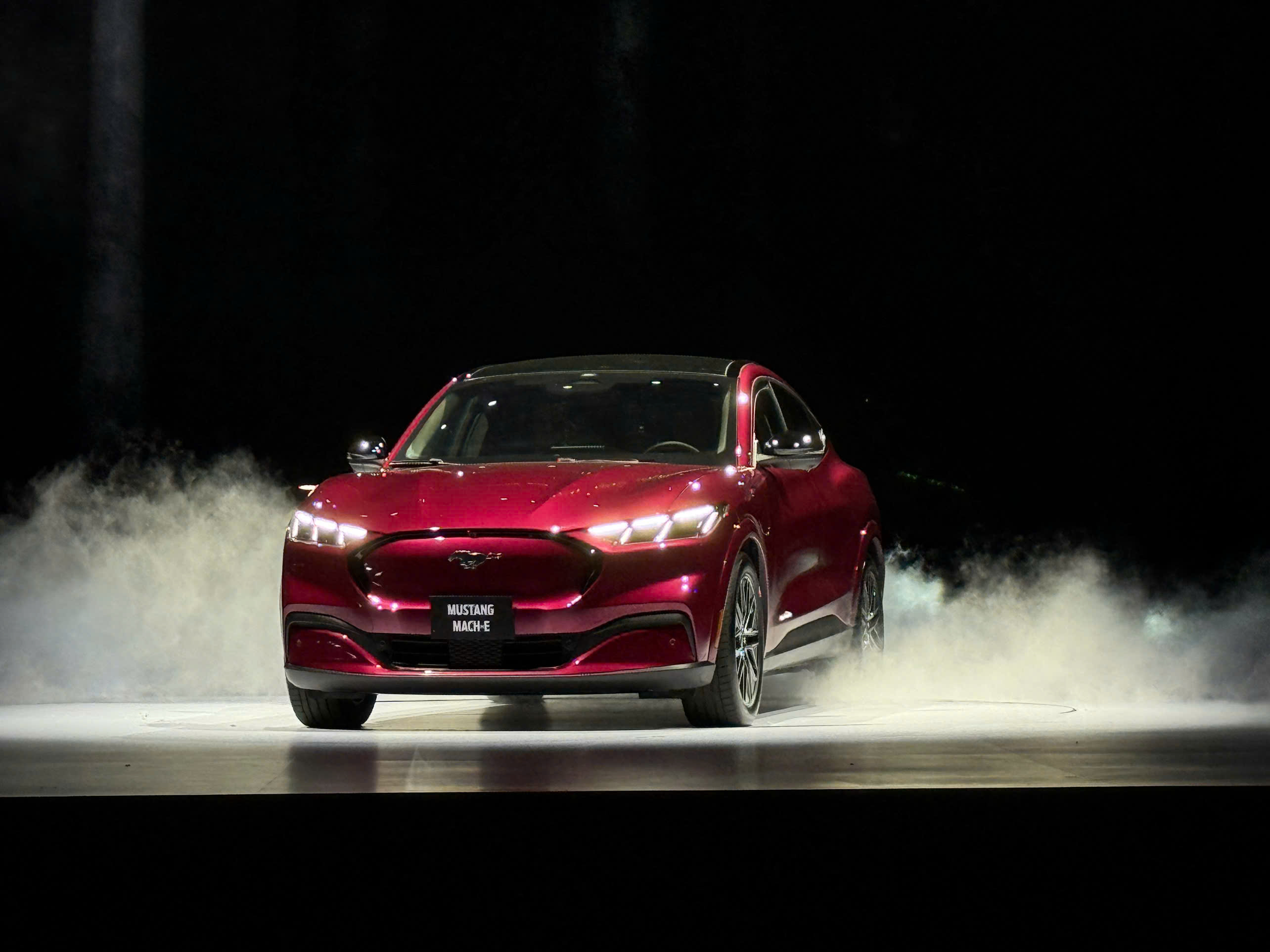 Ford Mustang Mach E (3).jpg