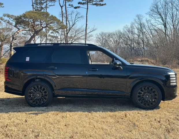 Hyundai Palisade 2.PNG