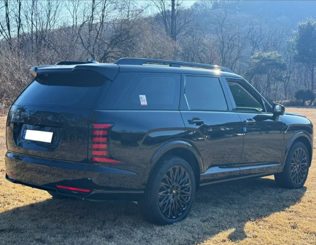 Hyundai Palisade 3.PNG