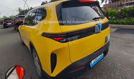 Limo Green Indo 2.jpg