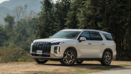 Hyundai Palisade.JPG